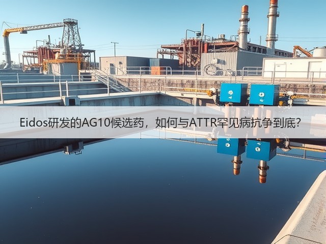 Eidos研发的AG10候选药,如何与ATTR罕见病抗争到底?(图3) Eidos研发的AG10候选药,如何与ATTR罕见病抗争到底?(图3)
