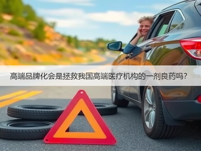 高端品牌化会是拯救我国高端医疗机构的一剂良药吗?(图1) 高端品牌化会是拯救我国高端医疗机构的一剂良药吗?(图1)