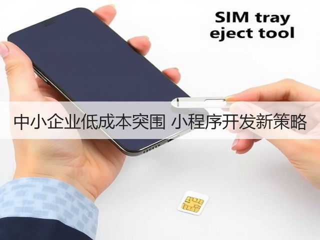 中小企业低成本突围 小程序开发新策略(图3) 中小企业低成本突围 小程序开发新策略(图3)