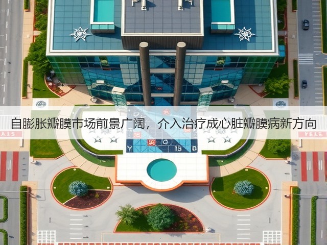 自膨胀瓣膜市场前景广阔，介入治疗成心脏瓣膜病新方向(图1)