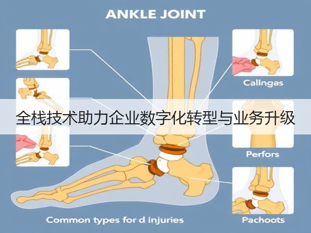 全栈技术助力企业数字化转型与业务升级(图1) 全栈技术助力企业数字化转型与业务升级(图1)