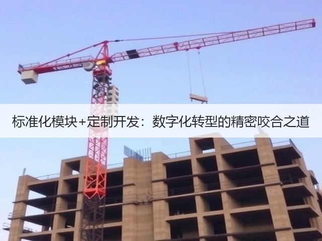 标准化模块+定制开发:数字化转型的精密咬合之道(图3) 标准化模块+定制开发:数字化转型的精密咬合之道(图3)
