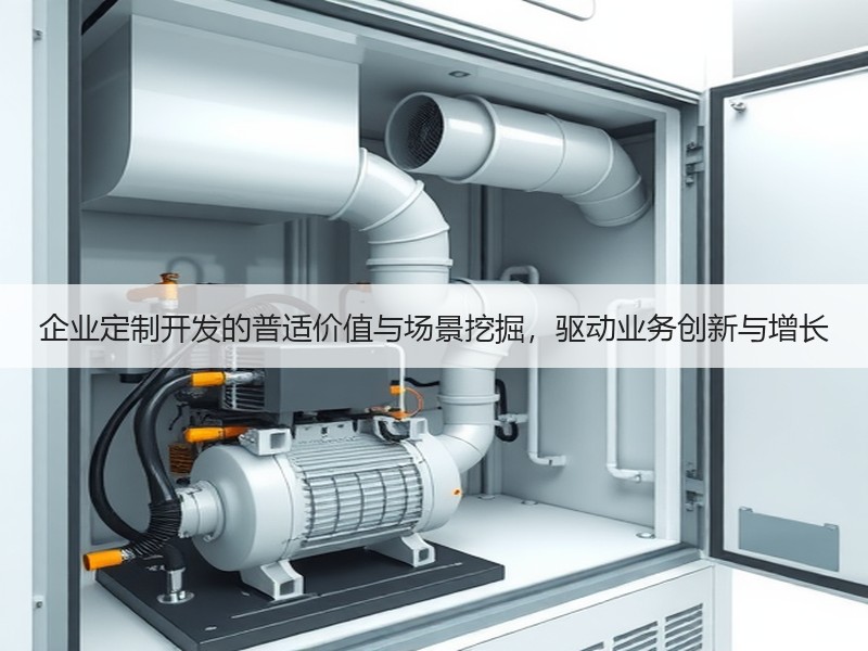 企业定制开发的普适价值与场景挖掘，驱动业务创新与增长