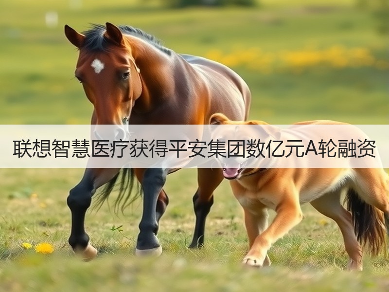 联想智慧医疗获得平安集团数亿元A轮融资