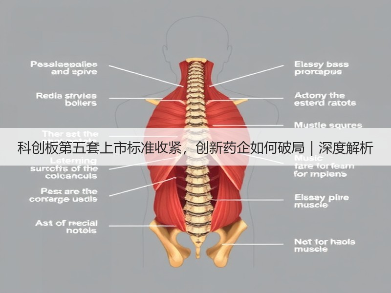 科创板第五套上市标准收紧，创新药企如何破局｜深度解析