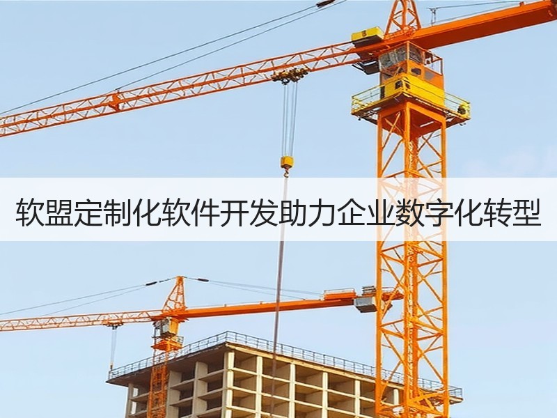软盟定制化软件开发助力企业数字化转型