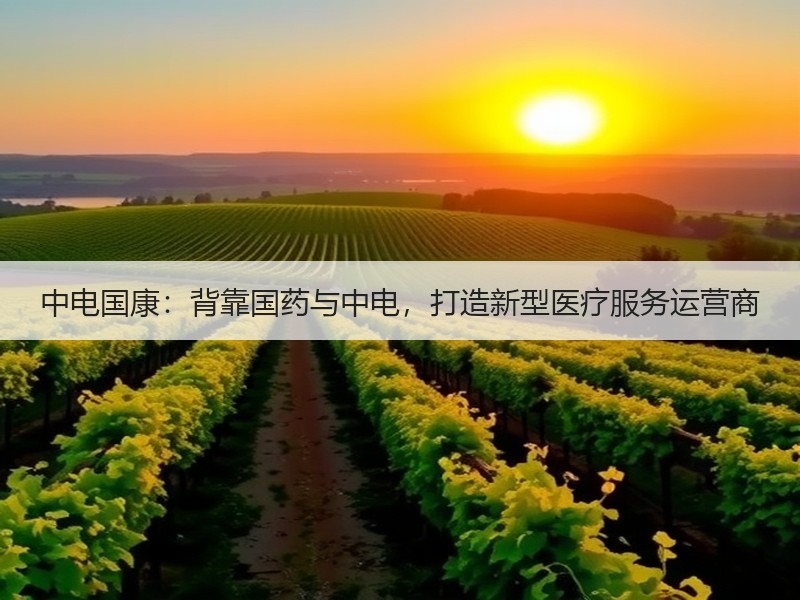 中电国康：背靠国药与中电，打造新型医疗服务运营商