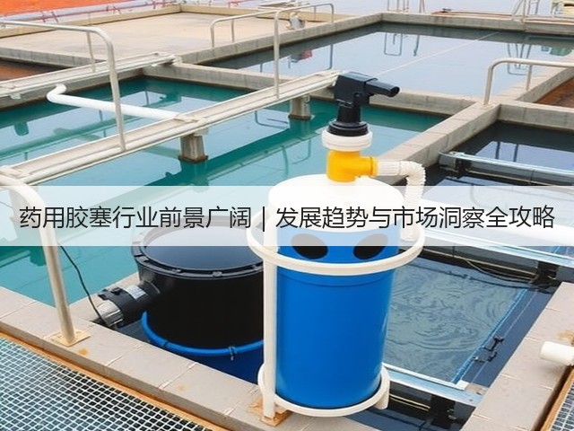 药用胶塞行业前景广阔|发展趋势与市场洞察全攻略(图3) 药用胶塞行业前景广阔|发展趋势与市场洞察全攻略(图3)
