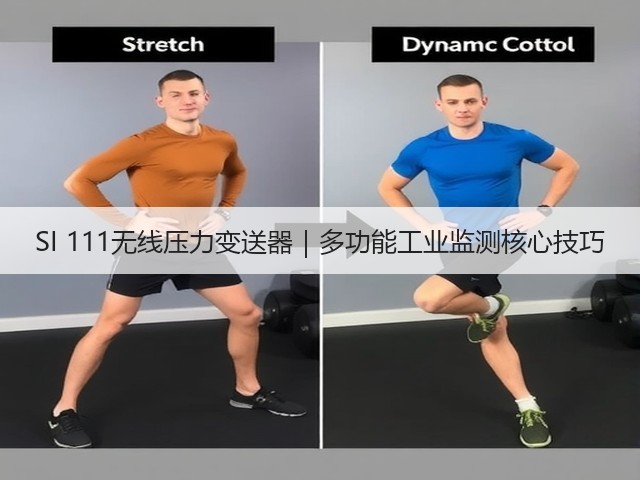 SI 111无线压力变送器|多功能工业监测核心技巧(图2) SI 111无线压力变送器|多功能工业监测核心技巧(图2)