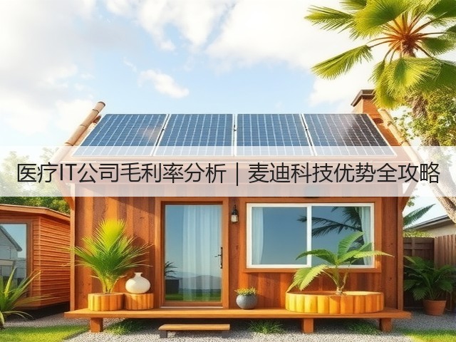 医疗IT公司毛利率分析｜麦迪科技优势全攻略(图3)