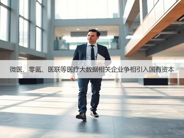 微医、零氪、医联等医疗大数据相关企业争相引入国有资本(图1) 微医、零氪、医联等医疗大数据相关企业争相引入国有资本(图1)
