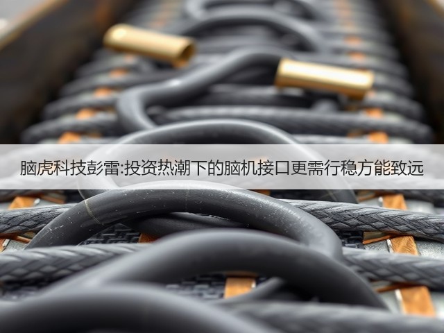 脑虎科技彭雷:投资热潮下的脑机接口更需行稳方能致远(图1) 脑虎科技彭雷:投资热潮下的脑机接口更需行稳方能致远(图1)