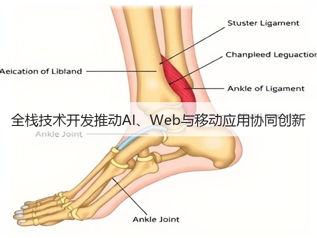 全栈技术开发推动AI、Web与移动应用协同创新(图3) 全栈技术开发推动AI、Web与移动应用协同创新(图3)
