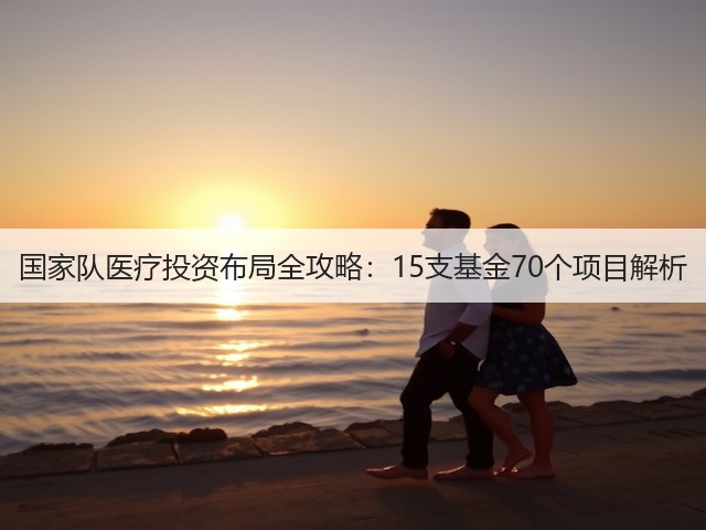 国家队医疗投资布局全攻略:15支基金70个项目解析(图3) 国家队医疗投资布局全攻略:15支基金70个项目解析(图3)