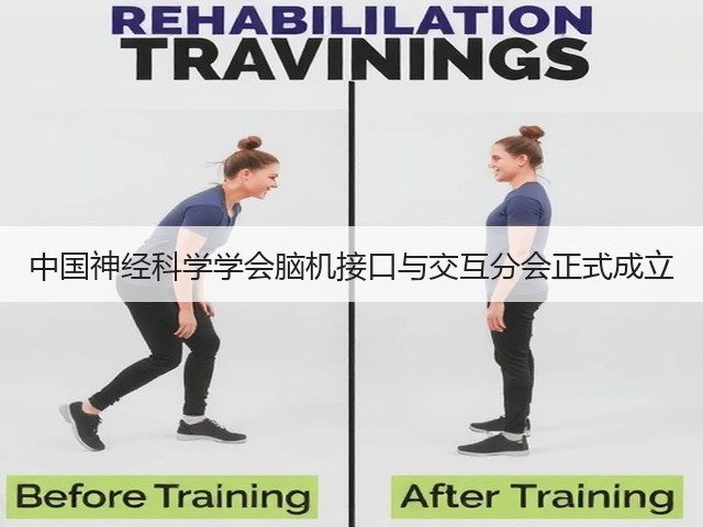 中国神经科学学会脑机接口与交互分会正式成立(图3) 中国神经科学学会脑机接口与交互分会正式成立(图3)