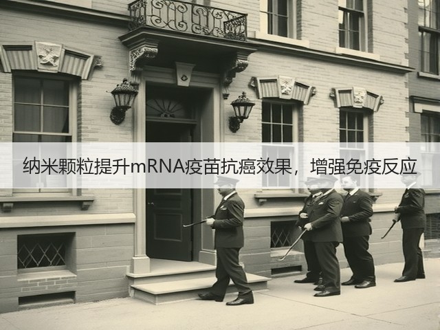 纳米颗粒提升mRNA疫苗抗癌效果,增强免疫反应(图3) 纳米颗粒提升mRNA疫苗抗癌效果,增强免疫反应(图3)