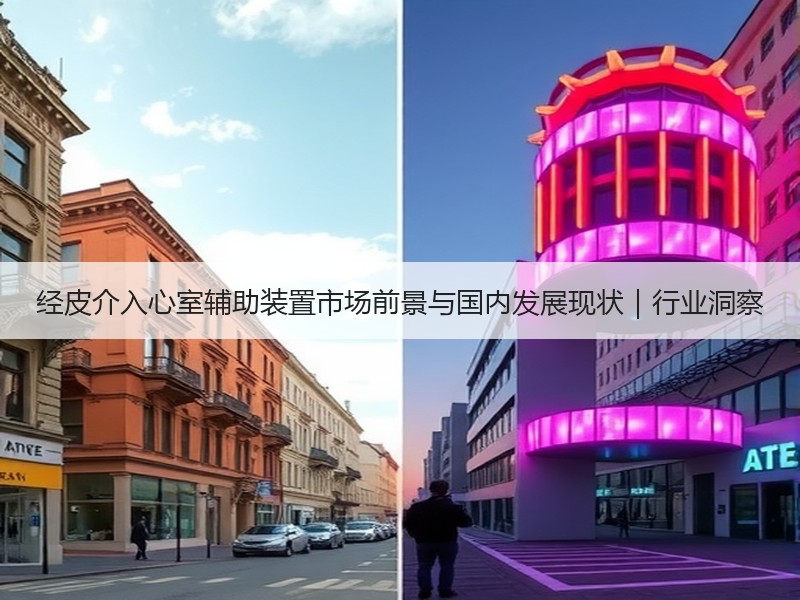 经皮介入心室辅助装置市场前景与国内发展现状｜行业洞察