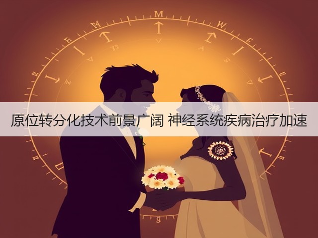 原位转分化技术前景广阔 神经系统疾病治疗加速(图3) 原位转分化技术前景广阔 神经系统疾病治疗加速(图3)