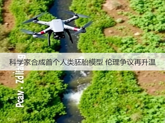 科学家合成首个人类胚胎模型 伦理争议再升温(图1) 科学家合成首个人类胚胎模型 伦理争议再升温(图1)