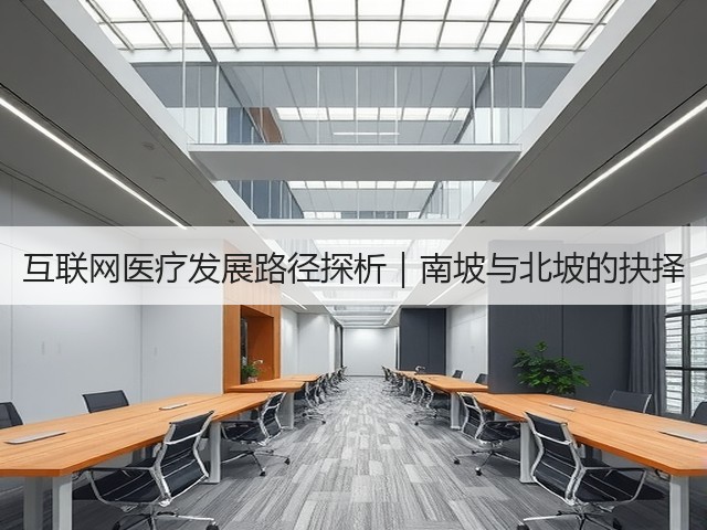 互联网医疗发展路径探析|南坡与北坡的抉择(图2) 互联网医疗发展路径探析|南坡与北坡的抉择(图2)