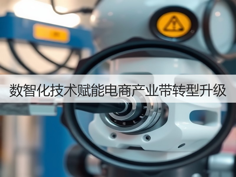 数智化技术赋能电商产业带转型升级