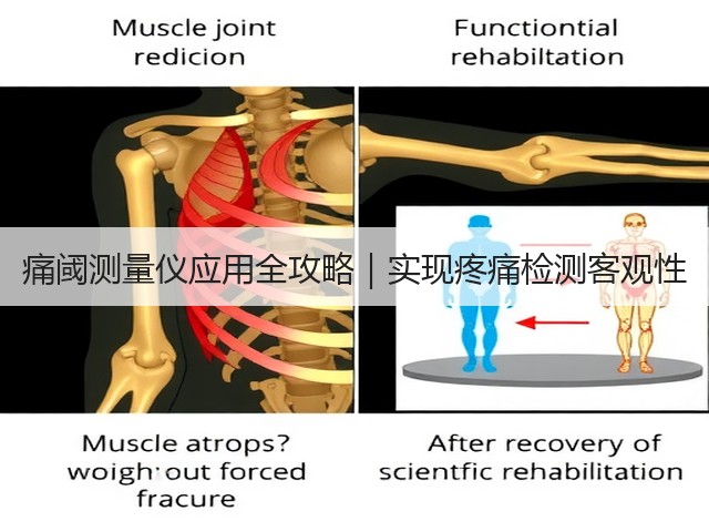 痛阈测量仪应用全攻略|实现疼痛检测客观性(图2) 痛阈测量仪应用全攻略|实现疼痛检测客观性(图2)