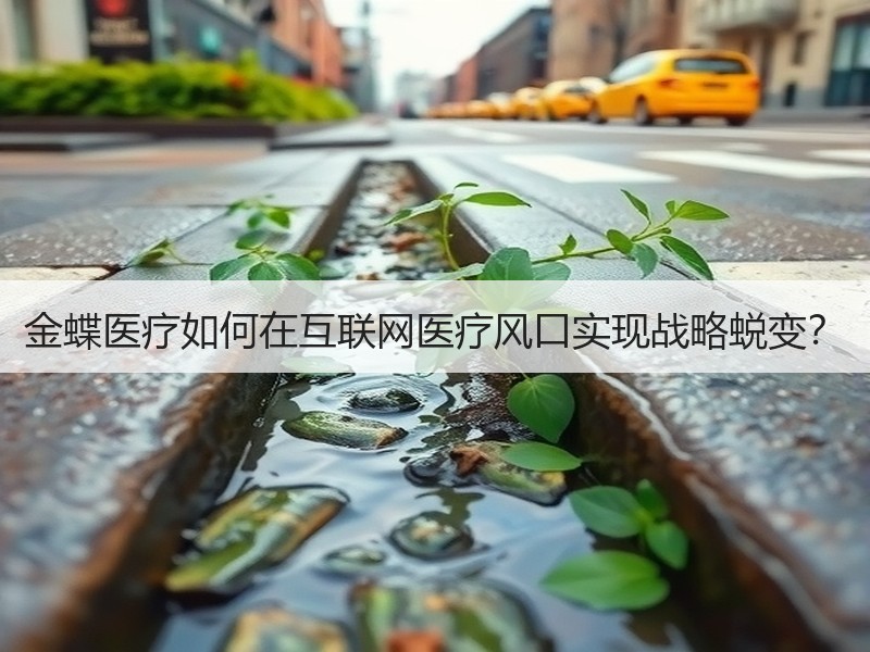 金蝶医疗如何在互联网医疗风口实现战略蜕变？