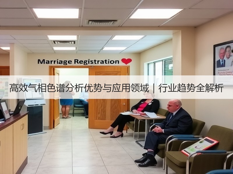高效气相色谱分析优势与应用领域｜行业趋势全解析