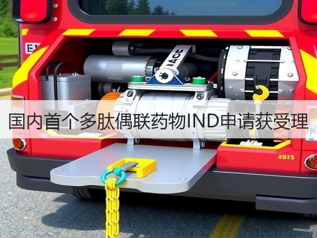 国内首个多肽偶联药物IND申请获受理(图3) 国内首个多肽偶联药物IND申请获受理(图3)