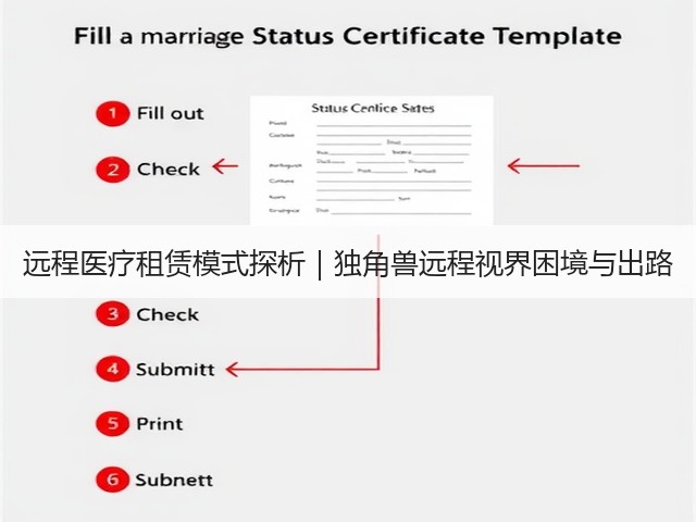 远程医疗租赁模式探析|独角兽远程视界困境与出路(图2) 远程医疗租赁模式探析|独角兽远程视界困境与出路(图2)