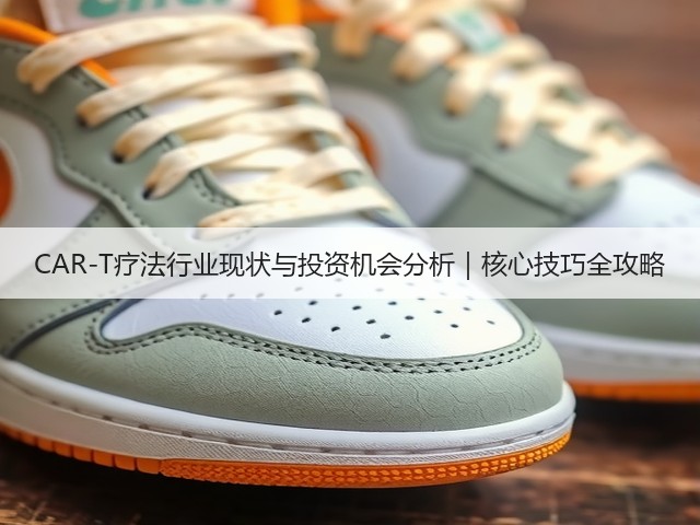 CAR-T疗法行业现状与投资机会分析|核心技巧全攻略(图3) CAR-T疗法行业现状与投资机会分析|核心技巧全攻略(图3)