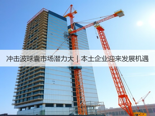 冲击波球囊市场潜力大｜本土企业迎来发展机遇(图2)