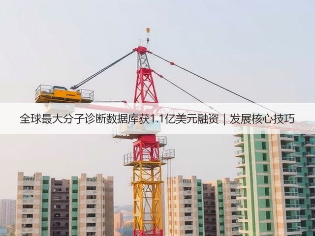 全球最大分子诊断数据库获1.1亿美元融资|发展核心技巧(图2) 全球最大分子诊断数据库获1.1亿美元融资|发展核心技巧(图2)
