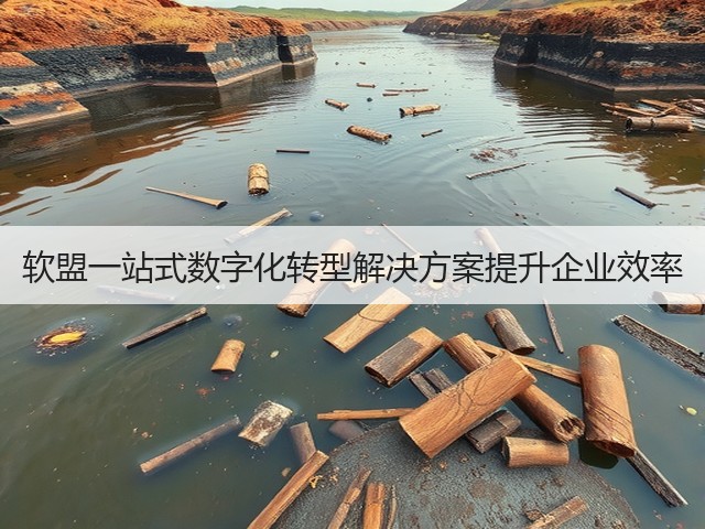 软盟一站式数字化转型解决方案提升企业效率(图3) 软盟一站式数字化转型解决方案提升企业效率(图3)