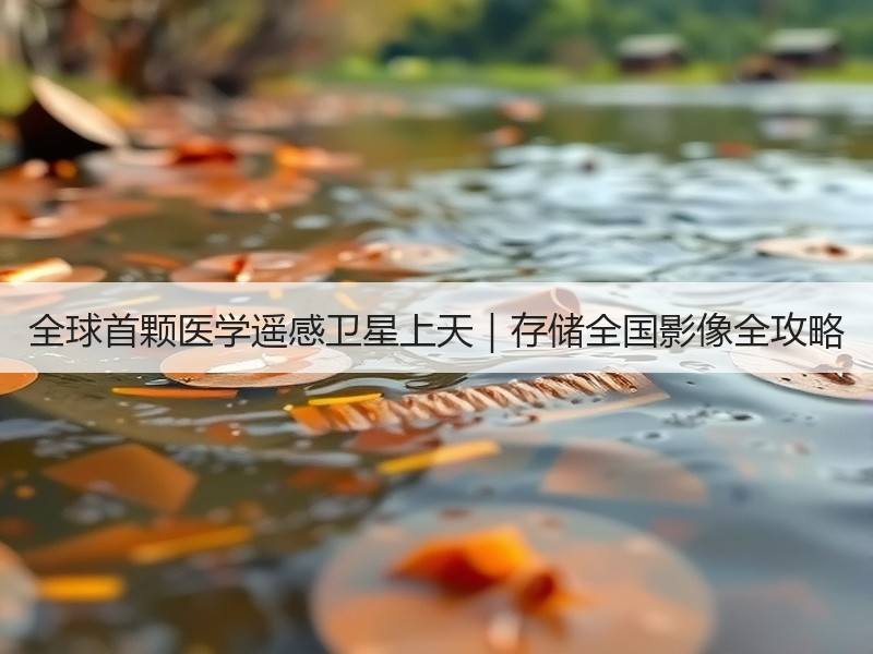 全球首颗医学遥感卫星上天｜存储全国影像全攻略