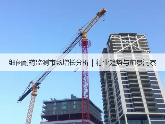 细菌耐药监测市场增长分析|行业趋势与前景洞察(图1) 细菌耐药监测市场增长分析|行业趋势与前景洞察(图1)