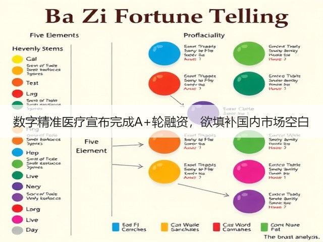 数字精准医疗宣布完成A+轮融资,欲填补国内市场空白(图2) 数字精准医疗宣布完成A+轮融资,欲填补国内市场空白(图2)