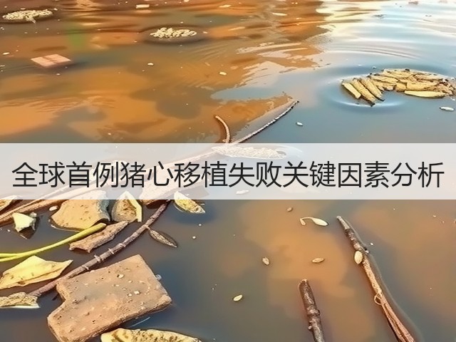 全球首例猪心移植失败关键因素分析(图3) 全球首例猪心移植失败关键因素分析(图3)