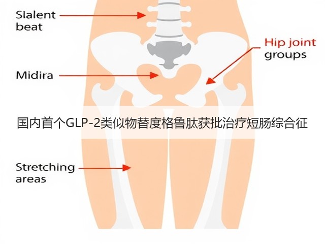 国内首个GLP-2类似物替度格鲁肽获批治疗短肠综合征(图2) 国内首个GLP-2类似物替度格鲁肽获批治疗短肠综合征(图2)