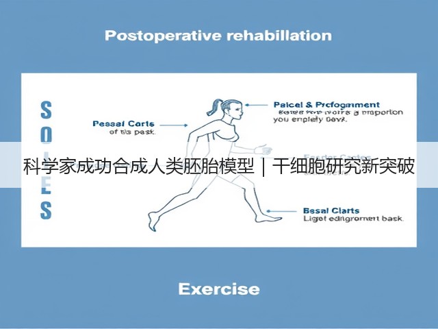 科学家成功合成人类胚胎模型|干细胞研究新突破(图3) 科学家成功合成人类胚胎模型|干细胞研究新突破(图3)