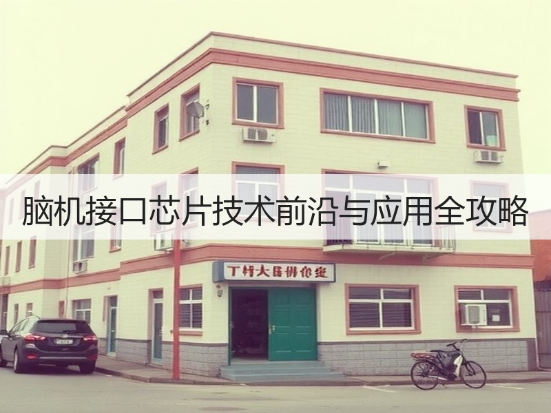 脑机接口芯片技术前沿与应用全攻略