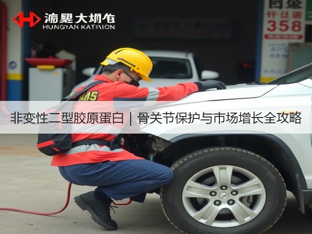 非变性二型胶原蛋白|骨关节保护与市场增长全攻略(图3) 非变性二型胶原蛋白|骨关节保护与市场增长全攻略(图3)