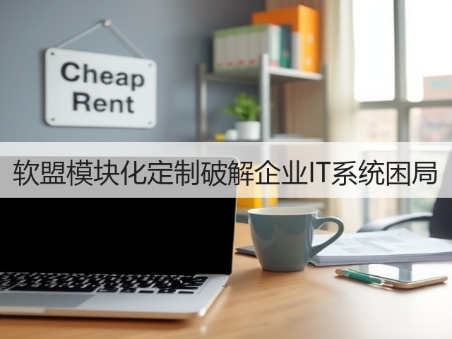 软盟模块化定制破解企业IT系统困局(图2) 软盟模块化定制破解企业IT系统困局(图2)