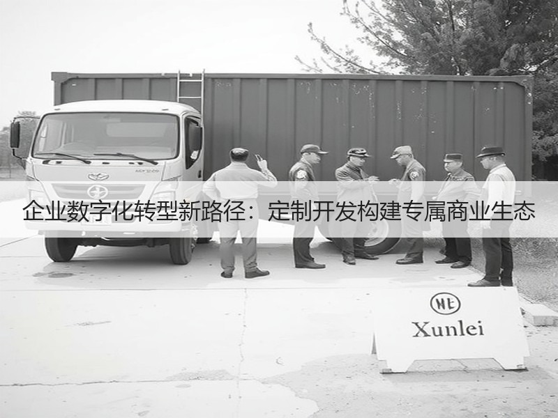 企业数字化转型新路径：定制开发构建专属商业生态