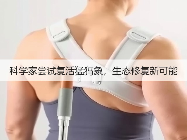 科学家尝试复活猛犸象,生态修复新可能(图1) 科学家尝试复活猛犸象,生态修复新可能(图1)