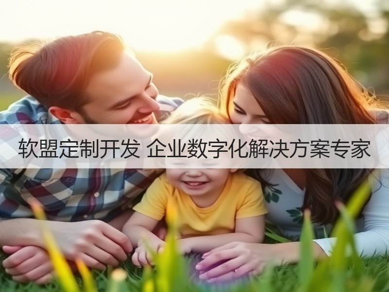 软盟定制开发 企业数字化解决方案专家